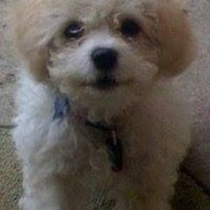 Meet your Posher, Becky